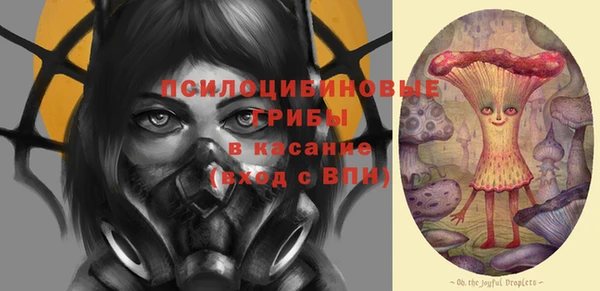 сатива Сафоново