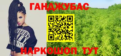 гидра Гатчина