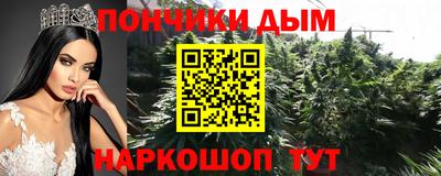 гидра Гатчина