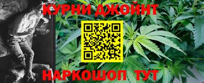 гидра Гатчина